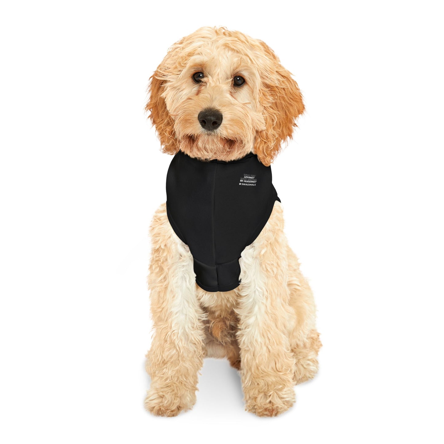 Who You Loving Black Pet Hoodie