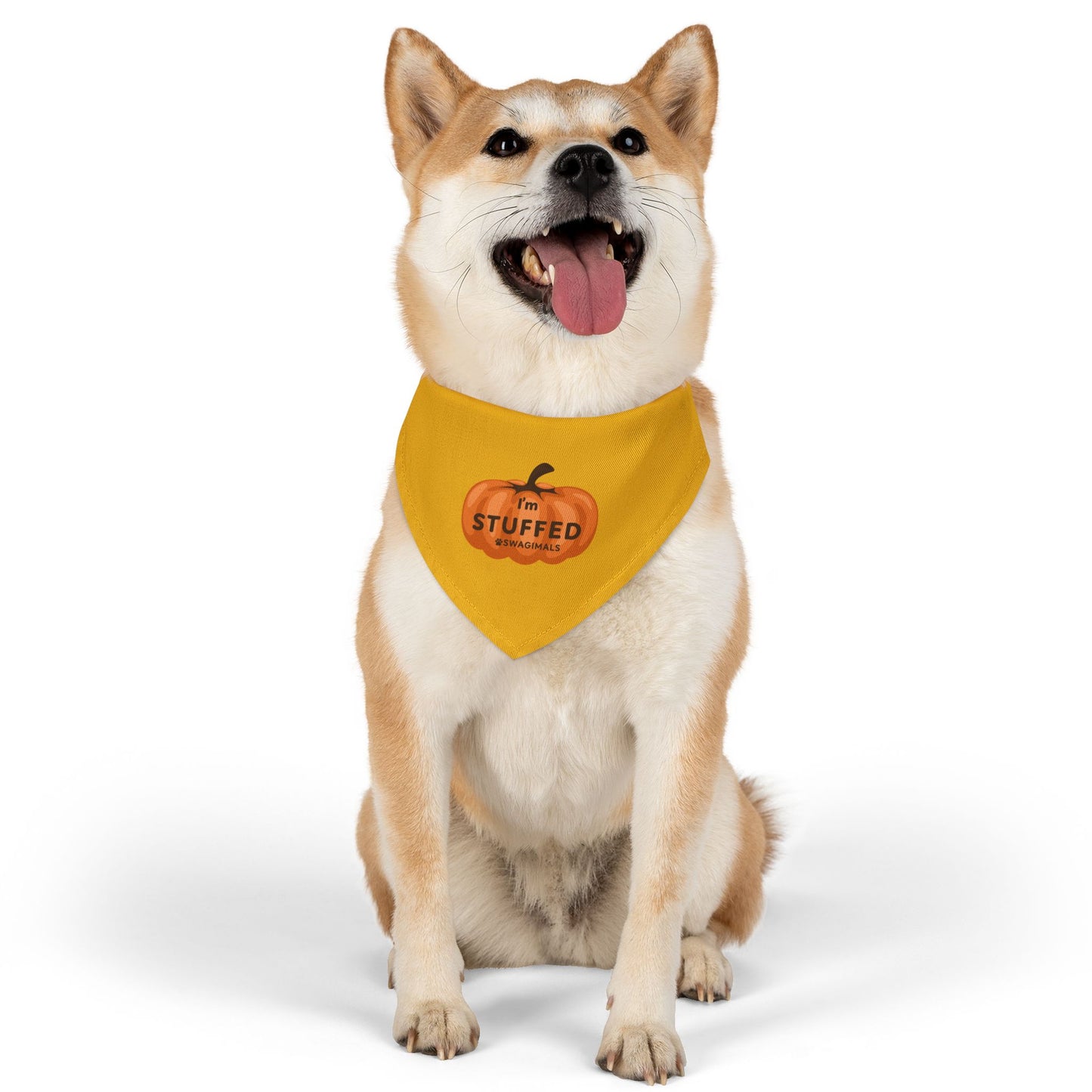 I'm Stuffed Pumpkin Pet Bandana