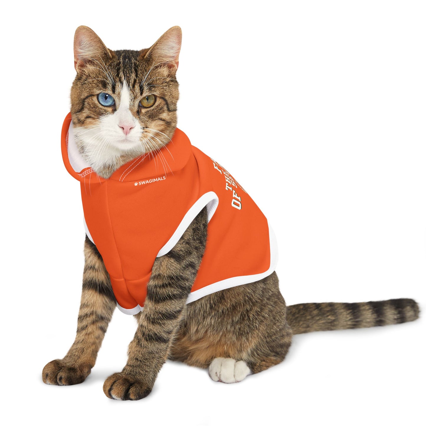 FAMU Pet Hoodie