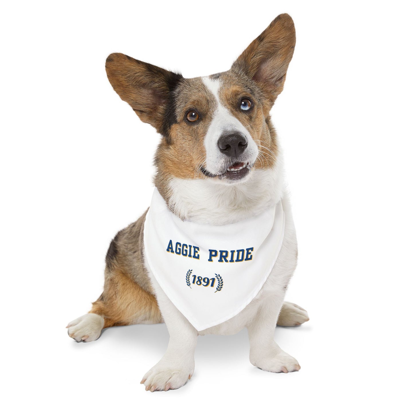 NC A&T AGGIE PRIDE Pet Bandana Collar