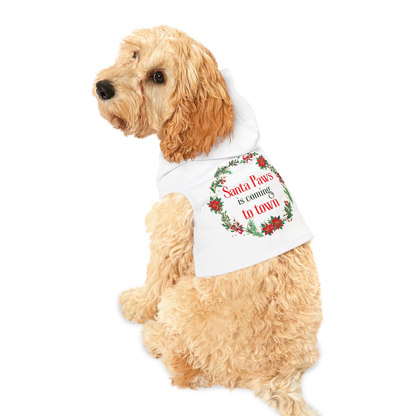 Santa Paws Pet Hoodie