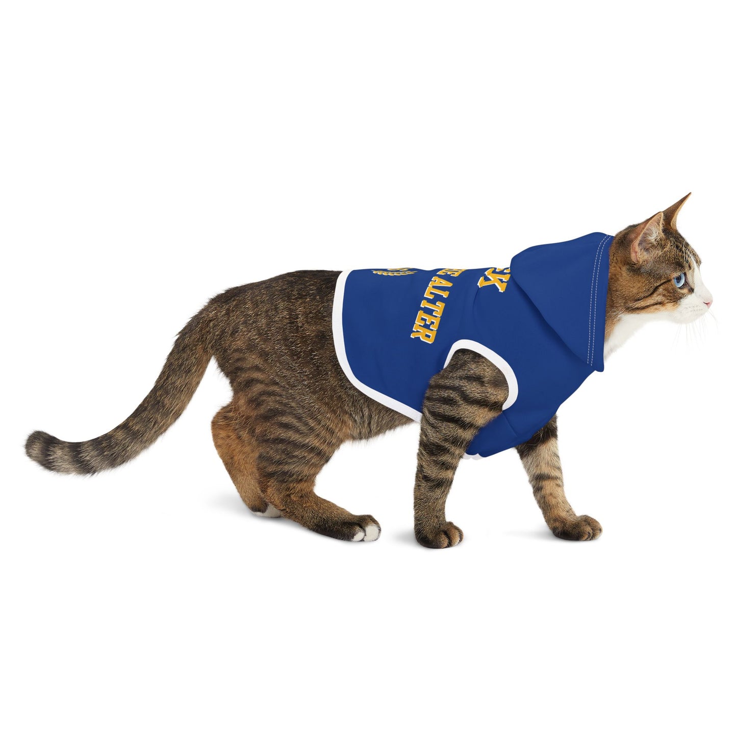 Fisk University Pet Hoodie