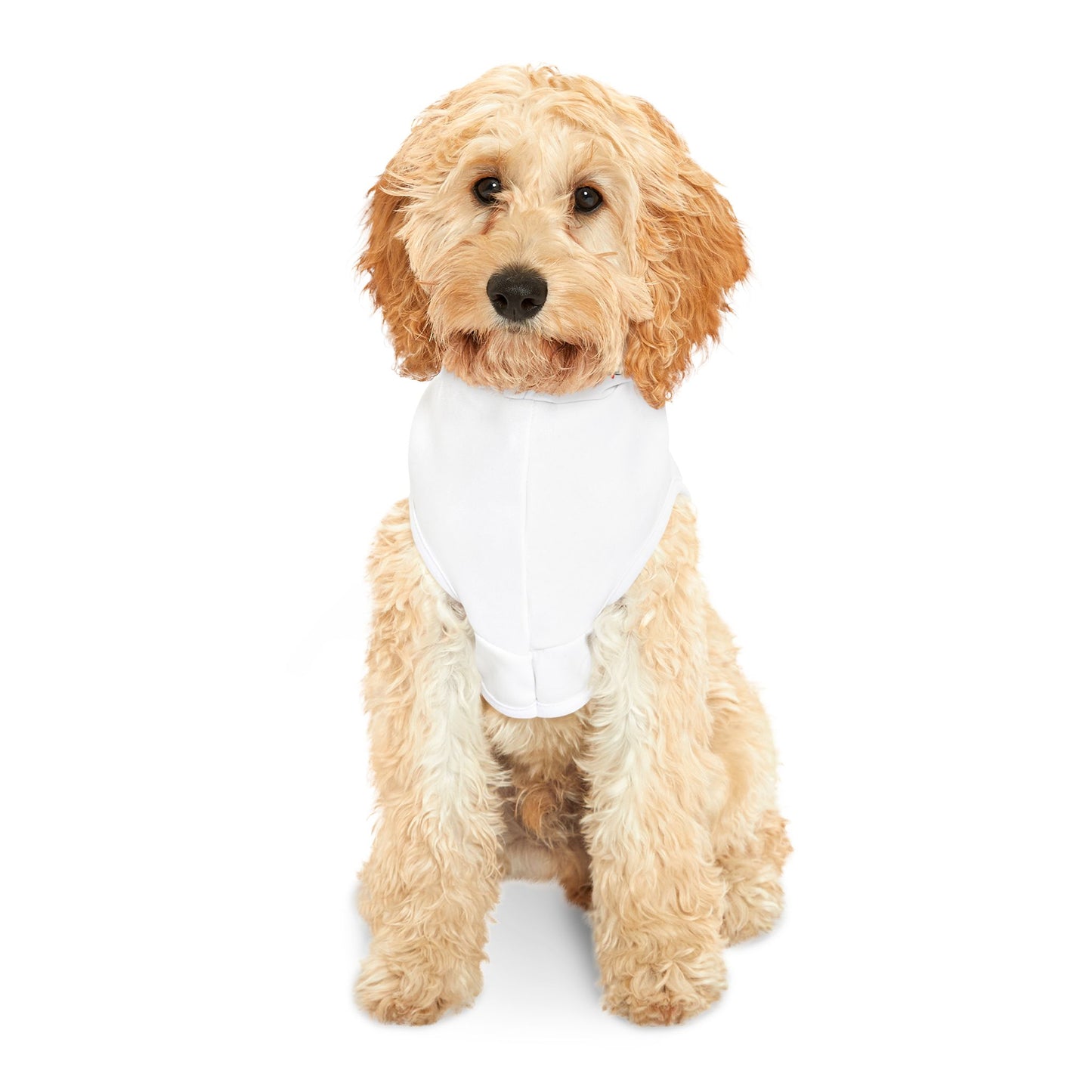 Santa Paws II Pet Hoodie