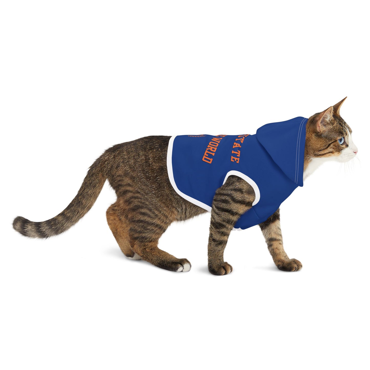 Morgan State Pet Hoodie