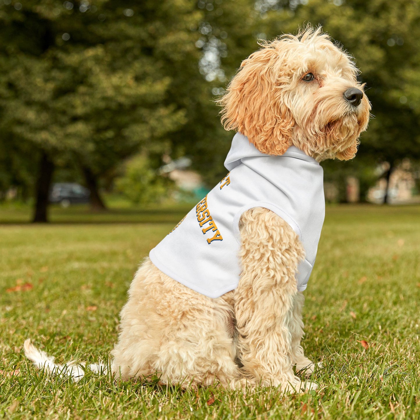 NC A&T Pet Hoodie