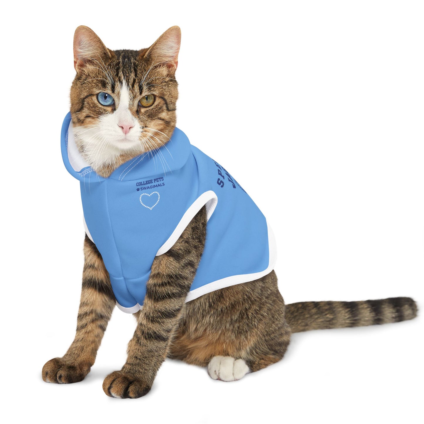 Spelman College Pet Hoodie