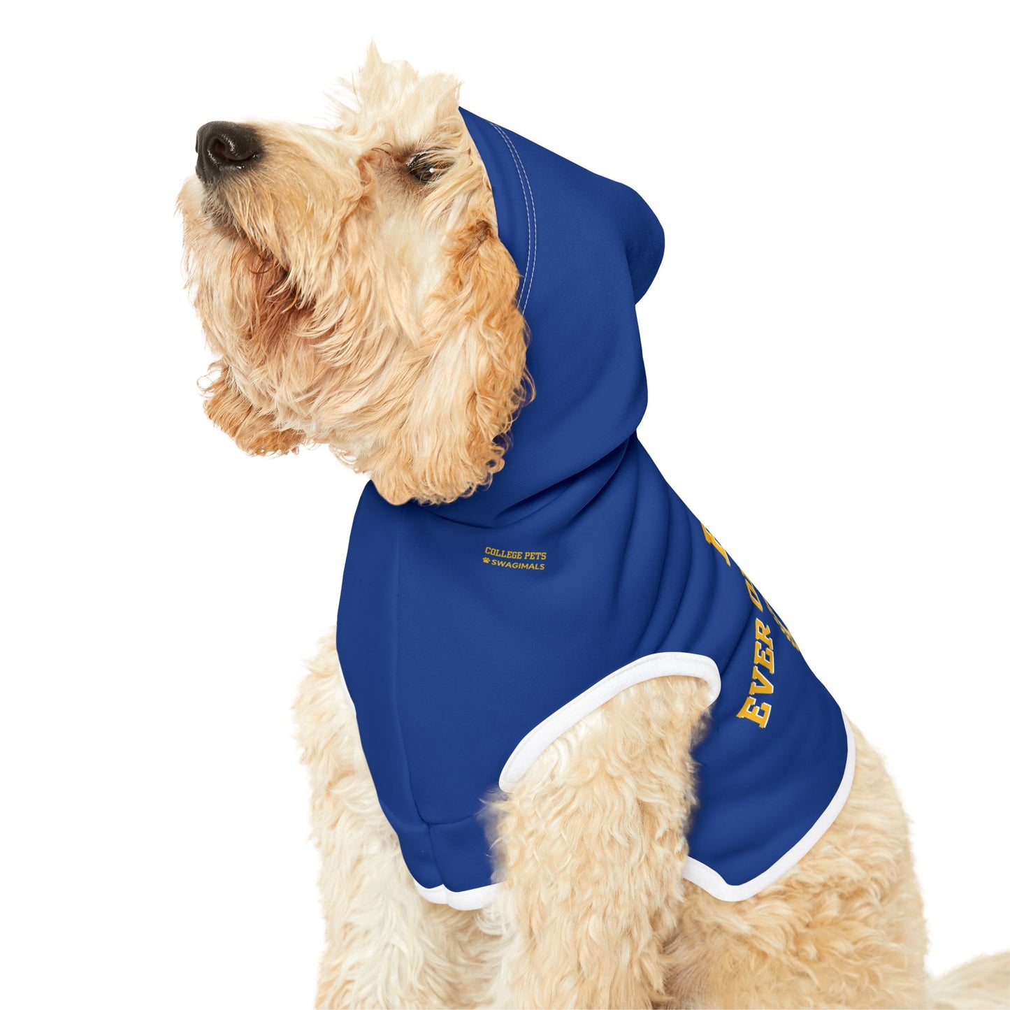 Fisk University Pet Hoodie