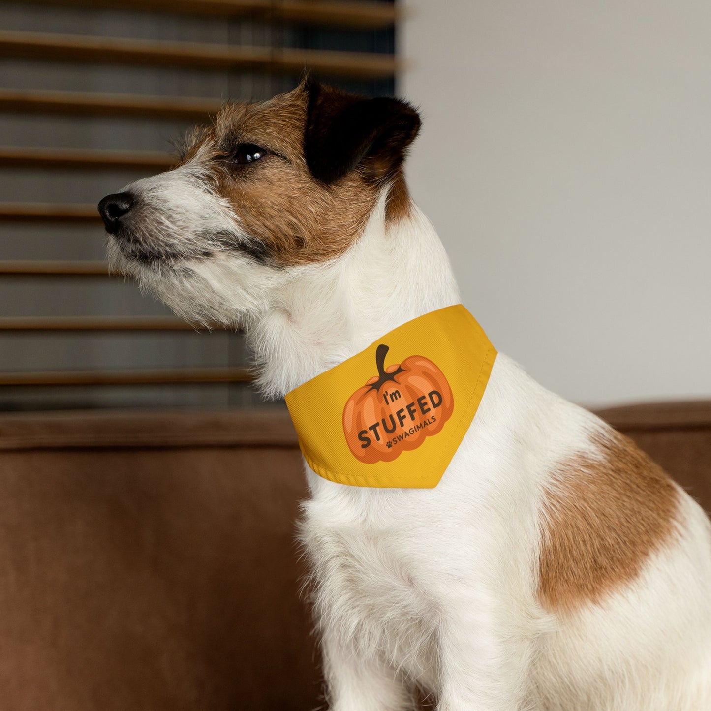 I'm Stuffed Pumpkin Pet Bandana