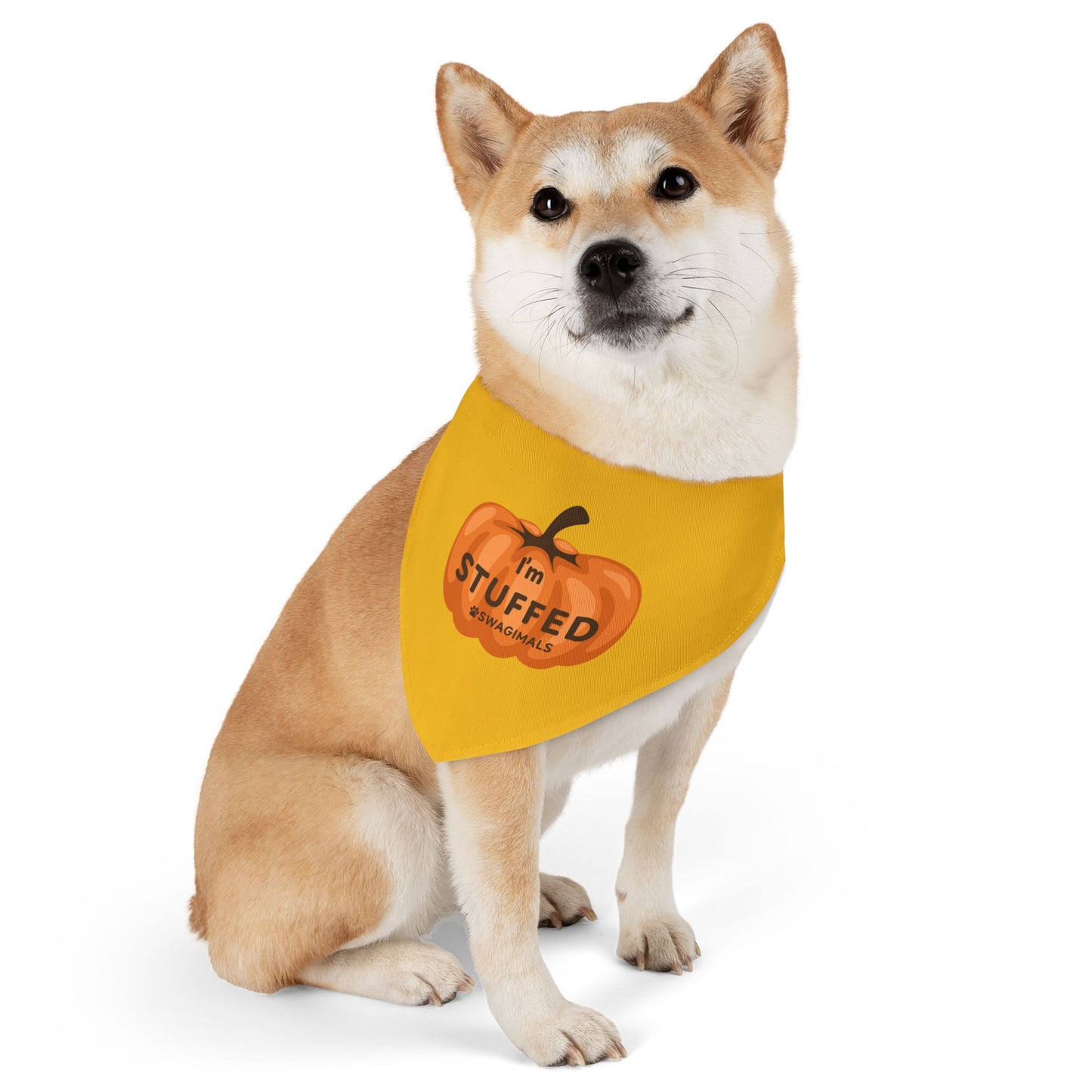 I'm Stuffed Pumpkin Pet Bandana