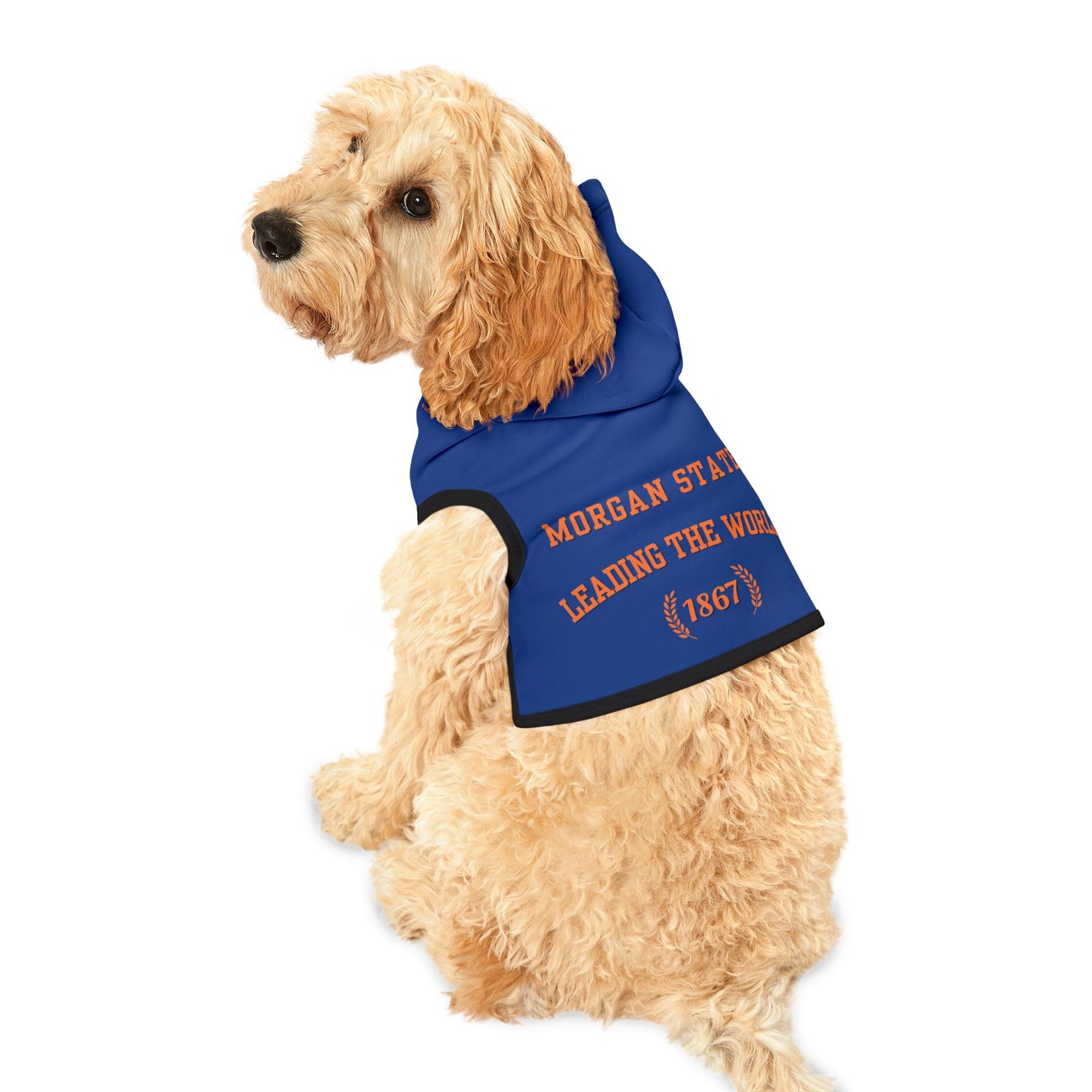 Morgan State Pet Hoodie