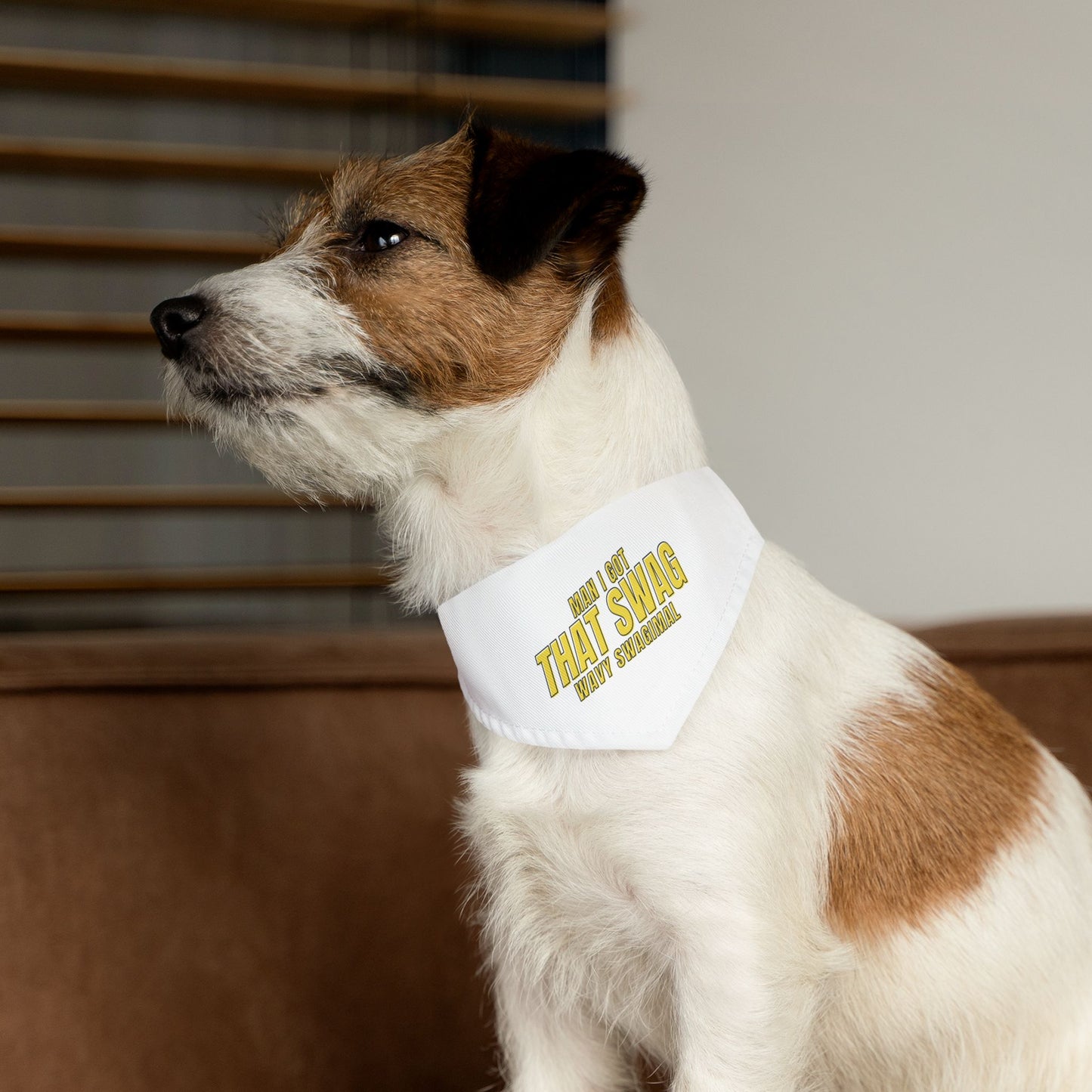 I Got That Swag Pet Bandana Collar