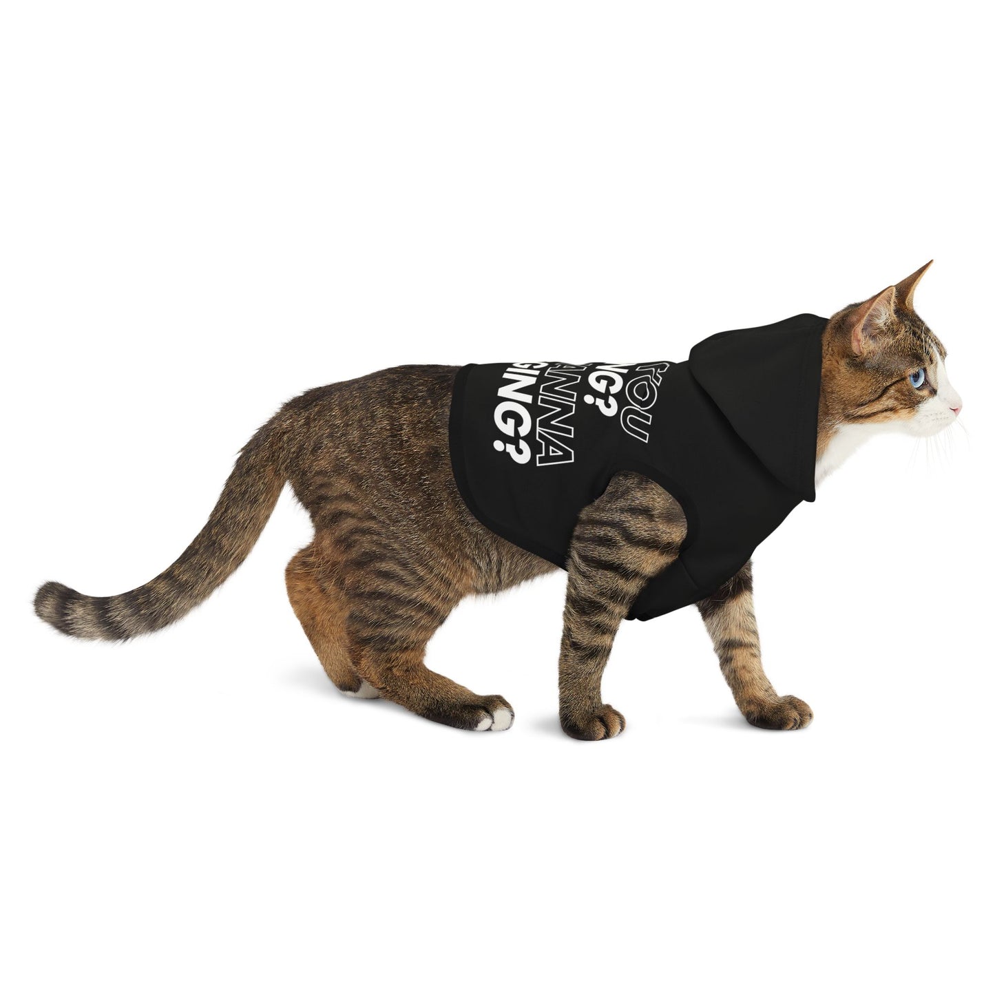 Who You Loving Black Pet Hoodie