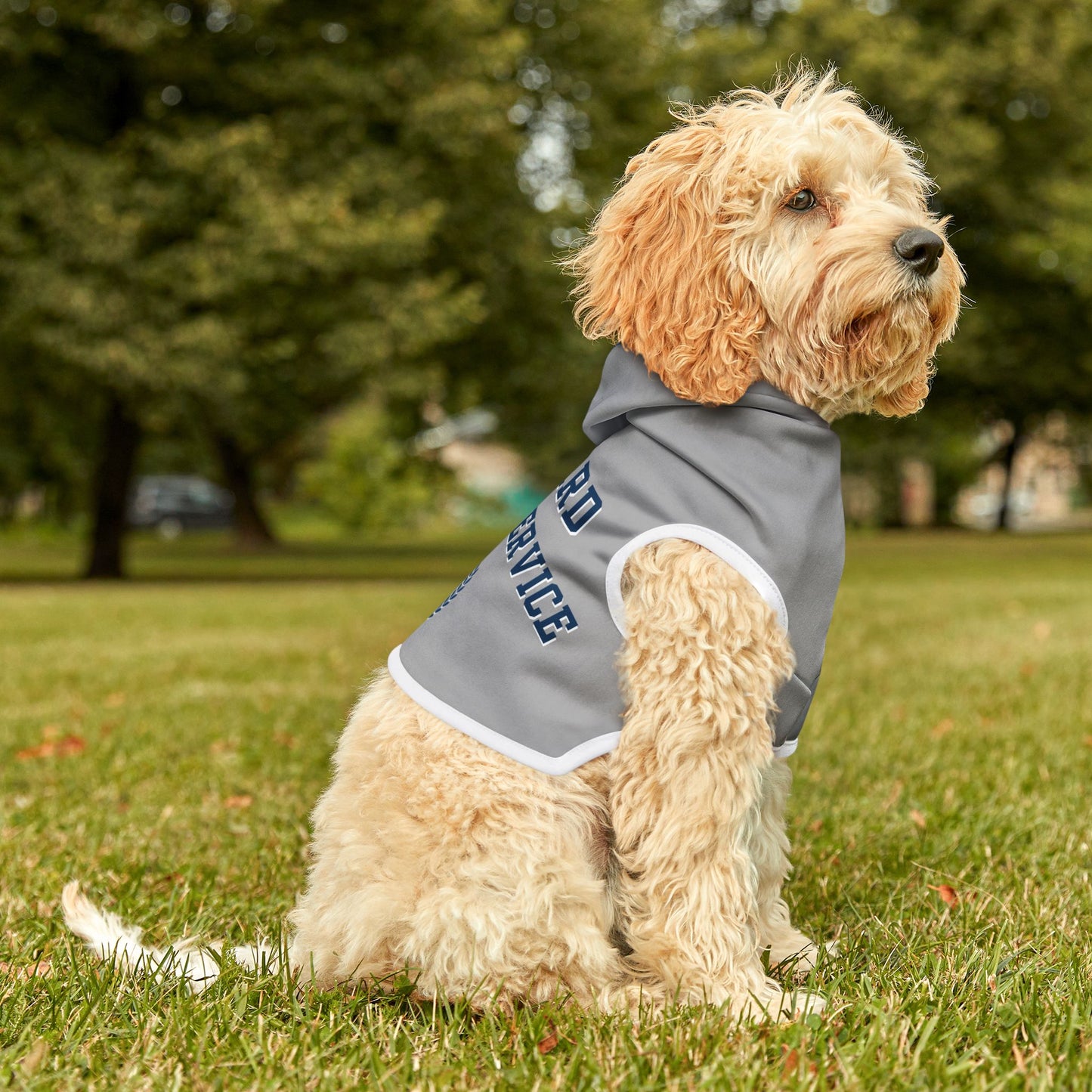 Howard University T&S Pet Hoodie