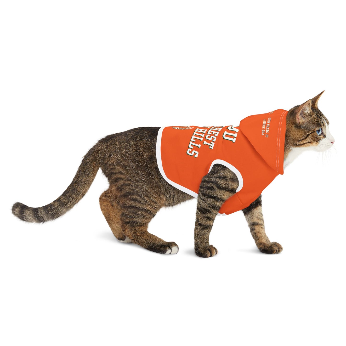 FAMU Pet Hoodie