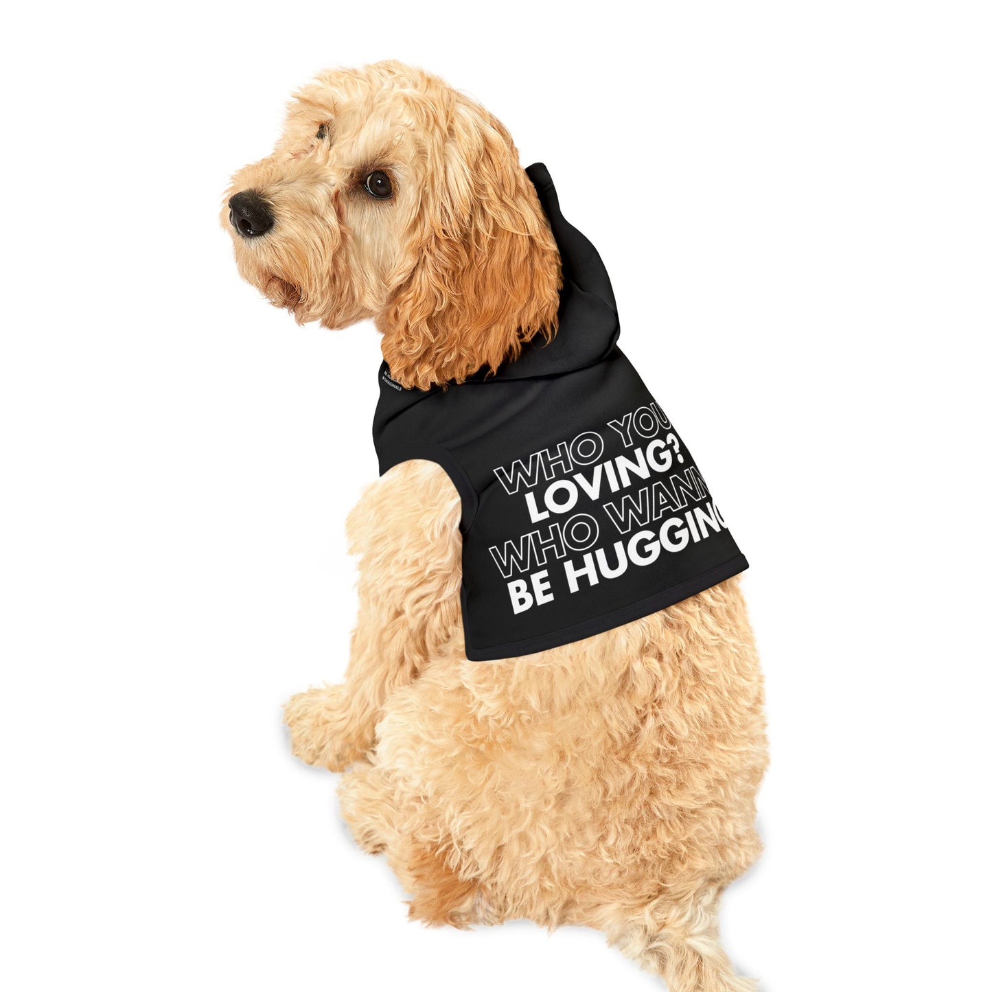 Who You Loving Black Pet Hoodie